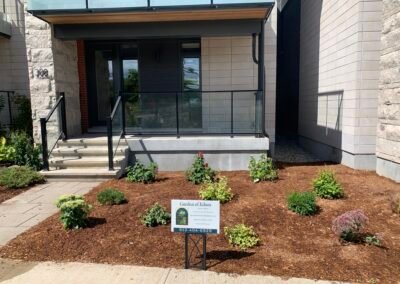 Renewed townhouse front garden with fresh brown mulch, neatly spaced shrubs, flowering plants, and a Garden of Ethan sign.